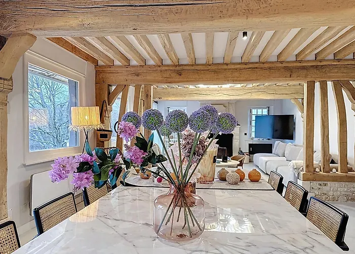 Elysia Yourhosthelper *