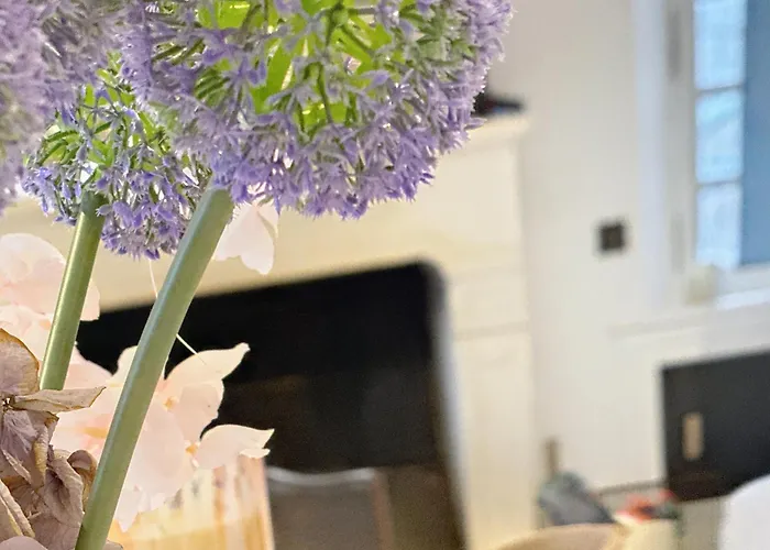 Villa Elysia Yourhosthelper Touques